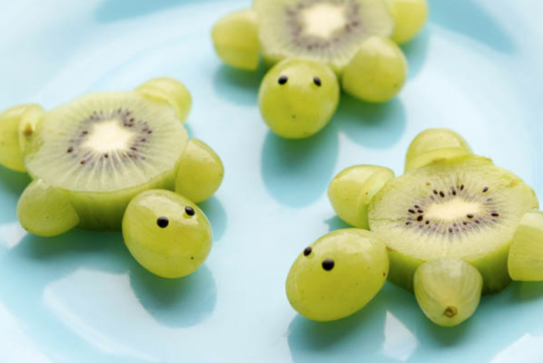 Gezonde schildpadjes