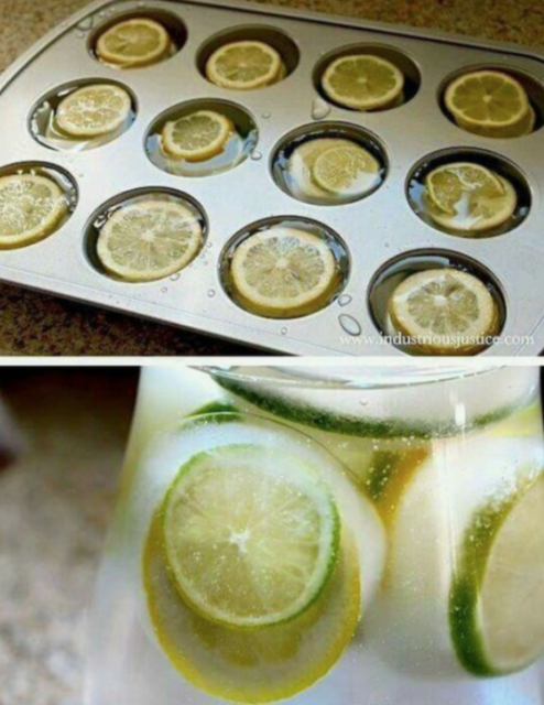 citrusijsblokjes voor je koude drank
